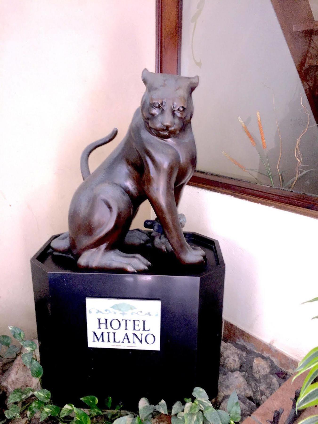 Hotel Milano San Juan Eksteriør billede